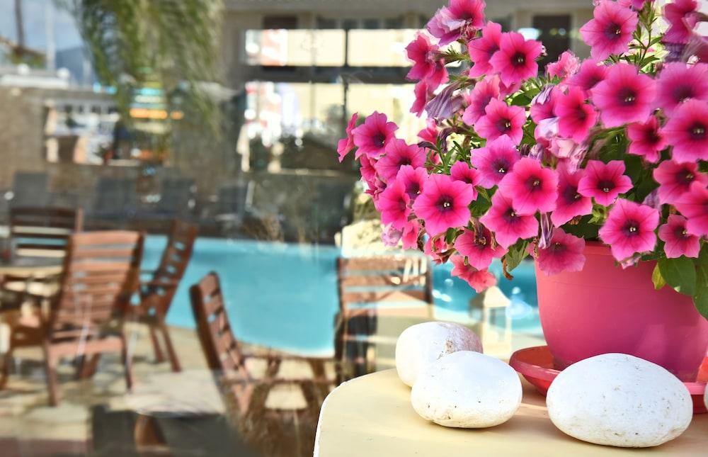 Ionion Star Hotel Lefkáda المظهر الخارجي الصورة
